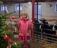 Dyrene i stalden skal også vide at det er jul